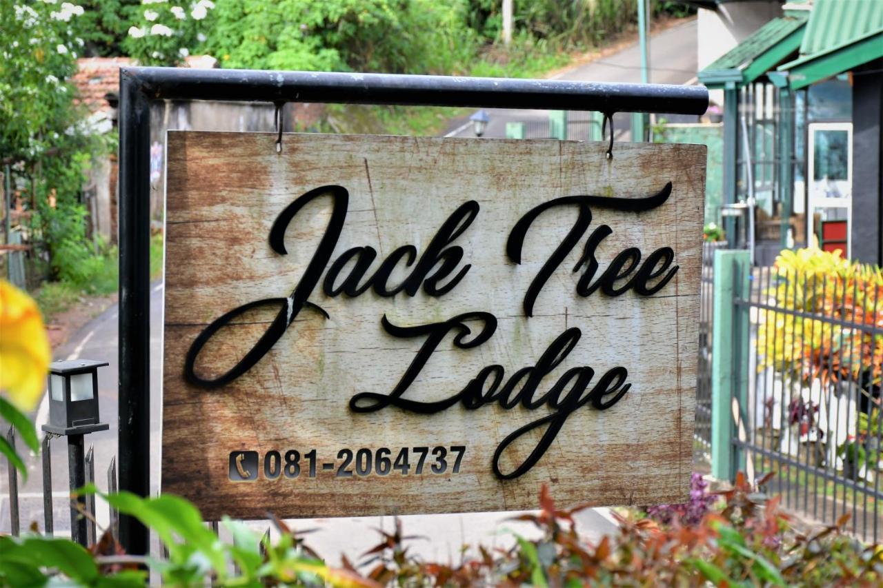 Jack Tree Lodge Kandy Exterior photo